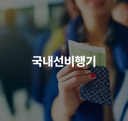 국내선비행기 예약 | 최저가 항공편 검색, 좌석 선택 방법